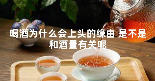 喝酒为什么会上头的缘由 是不是和酒量有关呢